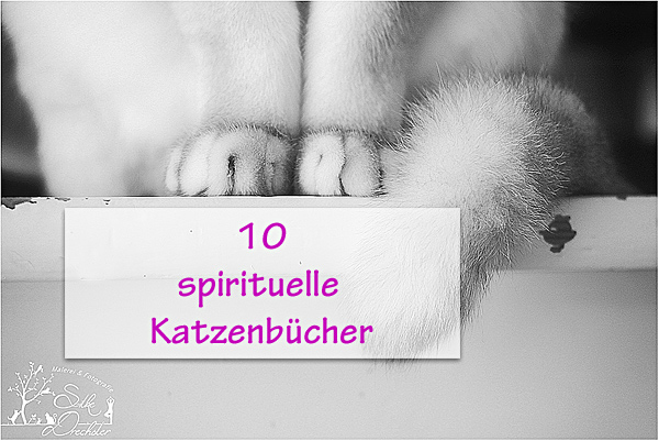 katzenbuch-spirituell